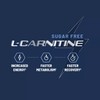 Sugar Free Natural Energy L Carnitine Gummy - Pre Workout,