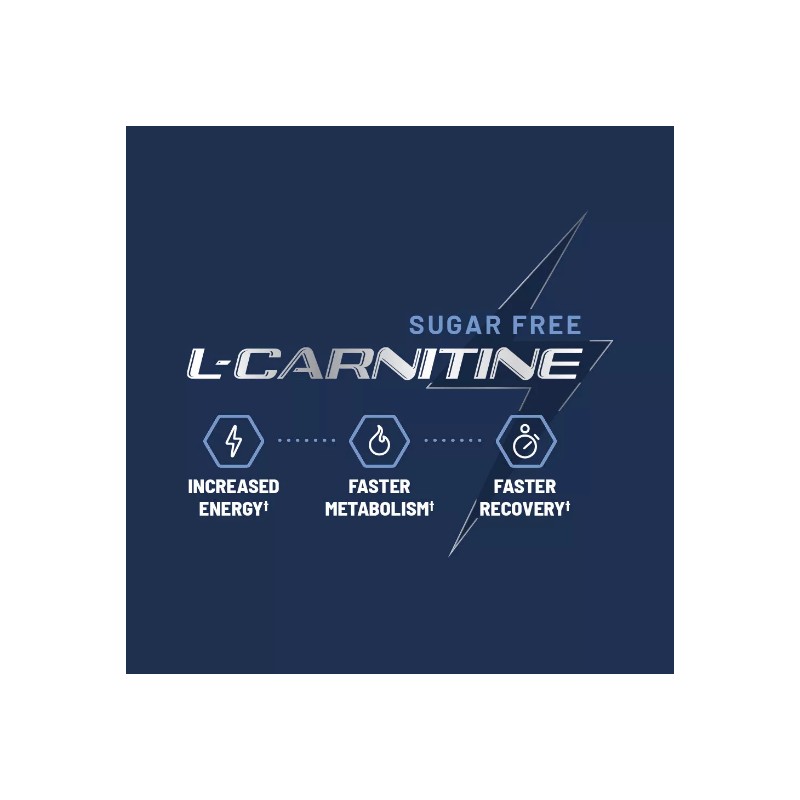 Sugar Free Natural Energy L Carnitine Gummy - Pre Workout,
