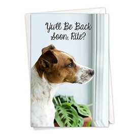 The Best Card Company - Cute I Miss You Card - Jack Russel Terrier Dog, Smooth Coat - Miss U Doggies Back Soon C9157DMYG