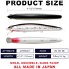 LUCKY CRAFT SW FlashMinnow 110, 765 MS Anchovy, Saltwater Fishing