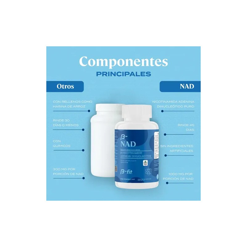 B-fit Nad 500mg 90 Cápsulas Suplemento Anti Aging