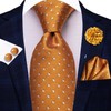 Hi-Tie Mens Tie Pocket Square Set Cufflinks Lapel Pin Silk