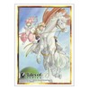 Bushiroad Sleeve Collection High Grade Vol. 5007 Tales of Fantasia