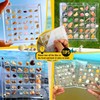 Biglumin Acrylic Box - 36 Compartments Acrylic Box Magnetic Seashell