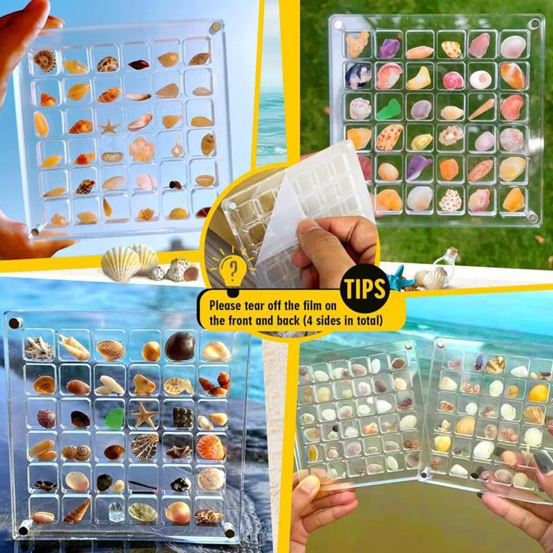 Biglumin Acrylic Box - 36 Compartments Acrylic Box Magnetic Seashell