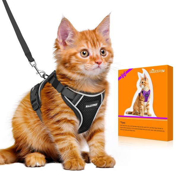 Halypet Cat Harness and Leash Set - MAX Safety 4th-Gen