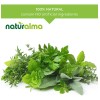 Naturalma Maca Ginseng Peruano Tintura 4 Fl Oz Extracto