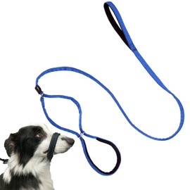 Multifunctional Figure 8 Padded Head Halter Walking Training Reflective Slip Lead Dog Muzzle Webbing Leash (Blue)