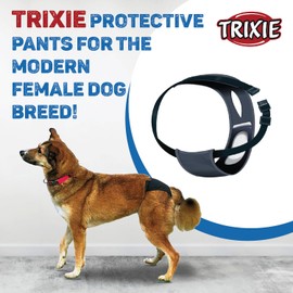 Trixie Protective Dog Pant, Medium, Black