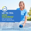 FROG @Ease Floating System for Hot Tubs - Quick &