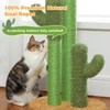 PAWZ Road Cat Scratching Post Cactus Cat Scratcher Featuring with