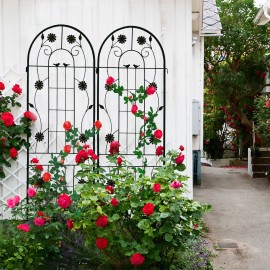 2 Pack Rustproof Metal Garden Trellis 71\" X 19.7\" Outdoor Flower Support for Climbing Plants Premium Fencing & Trellis & Gatescolor: CREAM WHITE Color