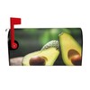 Avocado Fruit Print Magnetic Mailbox Cover,Christmas Winter Decorations,Standard and Large