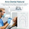 100 Piezas Arcos Niti para Ortodoncia, 10 Paquetes con 2