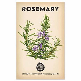 The Little Veggie Patch Co Rosemary Heirloom Seeds, 1 pack