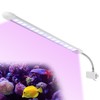 Fish Tank Clip on Light Aquarium Clamp Lamp with White