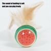 Cat Toy Ball, Fruit Design Interactive Ball, Fun Kitten Activity