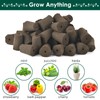 PACETAP 50Pack Seedling Starter Grow Sponges, Seed Pods Replacement, Root