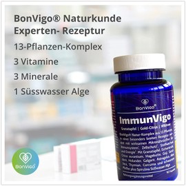 ImmunVigo Treatment 135 Days - Normal Function Immune System Support Zinc, Manganese, Copper, Vitamin A B6 B12 C - Plus Naturkunde Complex Pomegranate, Gold Citrus, Wild Rose, Aloe Vera - 270 Capsules