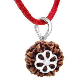 6 Mukhi Nepali Rudraksha Silver 925 Pendant | Six Faced Rudraksha | Rudraksha Beads (Elaeocarpus ganitrus) 100% Original & Certified by Arihant Gems and Jewels