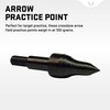 TenPoint Crossbow Arrow Field Practice Point - 100-Grains, Pack of
