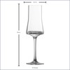 ZWIESEL GLAS Echo Grappa Glass (Set of 4), Bar Glasses