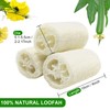 6 Pieces Loofah Sponge, Natural Loofah Cucumber Sponge Remove Dead