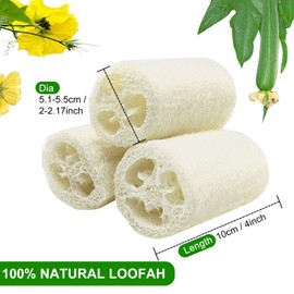 6 Pieces Loofah Sponge, Natural Loofah Cucumber Sponge Remove Dead Skin for Bath and Shower, 10 cm Loofah Sponge Exfoliating Natural Sponge Perfect for Body Care, Decoration, Kitchen Scrubber and