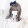Eileen Gray Blue Wig, Natural Fluffy, Women's, Wig, Straight, Small