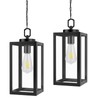 2 Pack Outdoor Pendant Light for Porch,Black Lantern Hanging Chandelier