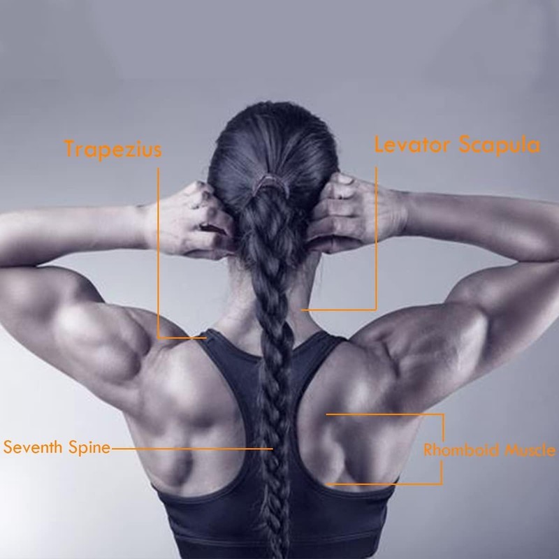Fitness Neck Harness for Weight Training, Long Steel Chain and
