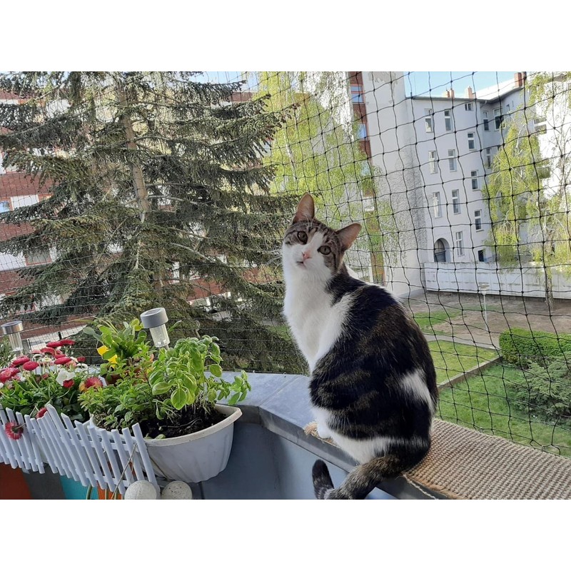 Caiyloxn Cat Net for Balcony, 6 x 3 m, Cat