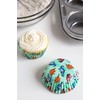 Fox Run Dinosaur Paper Muffin and Cupcake Liners, Set of