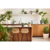 elho Brussels Orchid 12.5 - Flower Pot for Indoor -