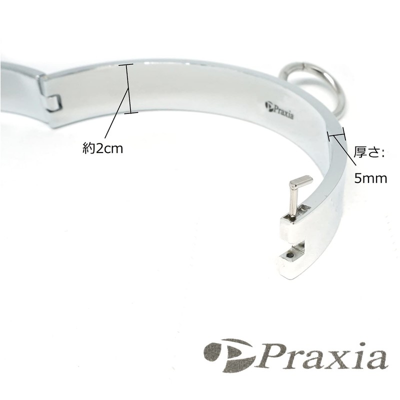 Praxia Metal Collar Lockable Choker, Letter M Design, Women's, Diameter