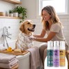 Shampoo en Seco para Perros, Espuma sin Agua, 250 ml
