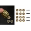 AINIFU Mini Divination Turtle Shell for Relieve Stress Fengshui Chinese