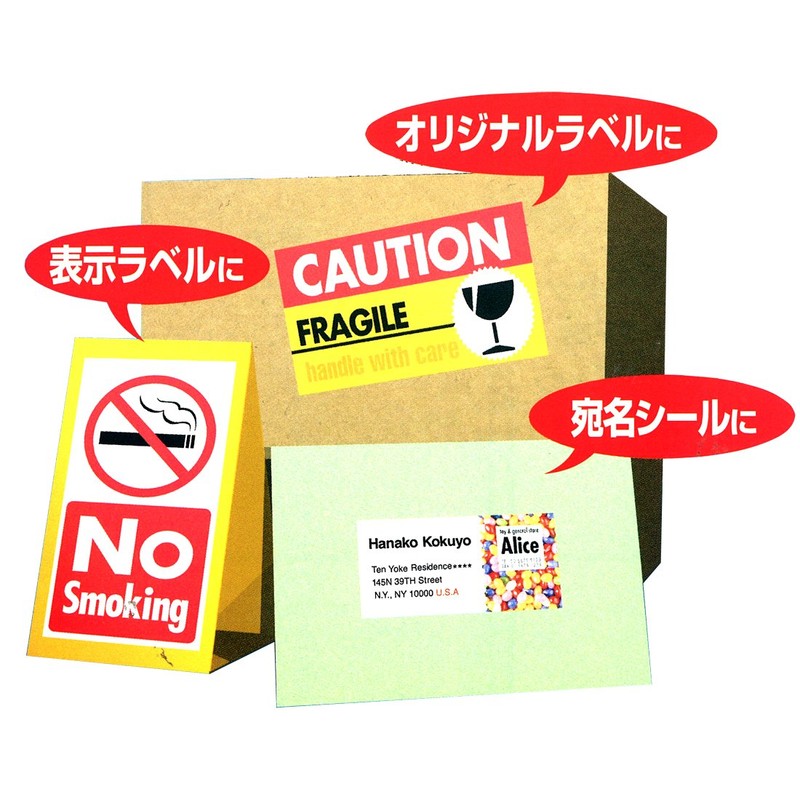 コクヨ(KOKUYO) カラーレーザー カラーコピー ラベル 65面 100枚 LBP-F7651-100N