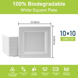 Bangshou 100% Compostable Bagasse Square Paper Plates,Natural Microwaveable Disposable Plates【10"-30PACK】Disposable Heavy-Duty Tray,Water And Oil Heavy-Duty Paper Plate,Eco-Friendly Large Paper Trays