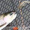 LUCKY CRAFT Medium Kura Pee SFT Fishing Lure Crankbait (0842