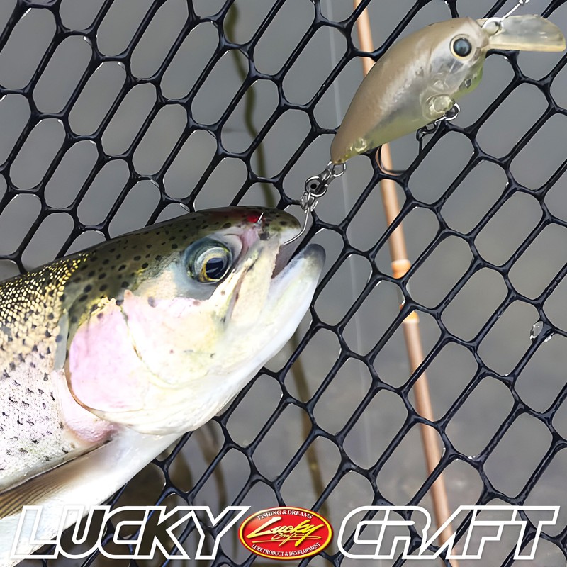 LUCKY CRAFT Medium Kura Pee SFT Fishing Lure Crankbait (0842