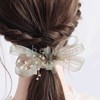 Herbeluemily Hair Clip, Ribbon, Beaded, Chiffon, Sheer, Formal, Pink