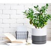 D'vine Dev 4.7 Inch & 6.5 Inch Ceramic Planter Pots