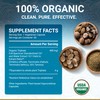 True Veda True Veda Digestion Bundle USDA Organic | Multi-Award-Winning