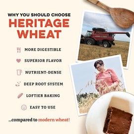 Sunrise Flour Mill USDA Organic Heritage Whole Wheat Pastry Flour - 2 lbs | Great for Gluten Sensitive People | Easier to Digest with Less Bloating | No Bleaching or Bromating | Zero Additives