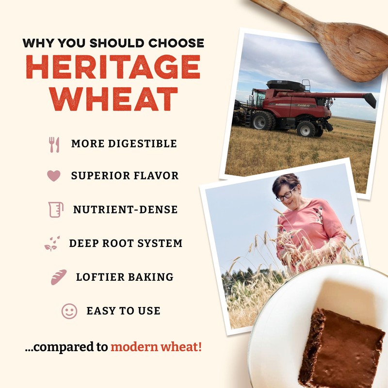 Sunrise Flour Mill USDA Organic Heritage Whole Wheat Pastry Flour