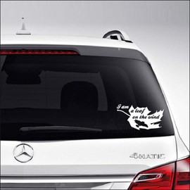 Serenity Firefly Spaceship Leaf On The Wind for Car Truck Motorcycle Windows Bumper Laptop Home Wall Decor Vinyl Sticker Decal Size- [10 inch/25 cm] Wide/Color- Matte Black