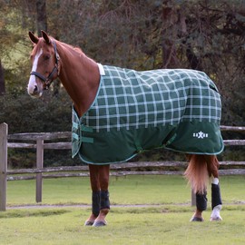 Saxon Defiant 1200D Standard Neck Lite, Hunter Green/Plaid, 75"