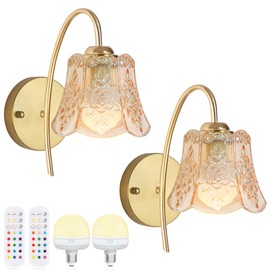 FFVU Battery Operated Wall Sconce with Remote Control,Vintage Wall Sconce with Amber Rose Texture,Rechargeable Battery Wall lamp Wall Lights with 15 Colors for Bedroom Living Room Doorway,Set of 2