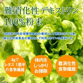 Indigestible Dextrin, Water Soluble Dietary Fiber, 85% or more, Powder Supplement, Made in Japan, Additive-free, 10.6 oz (300 g)